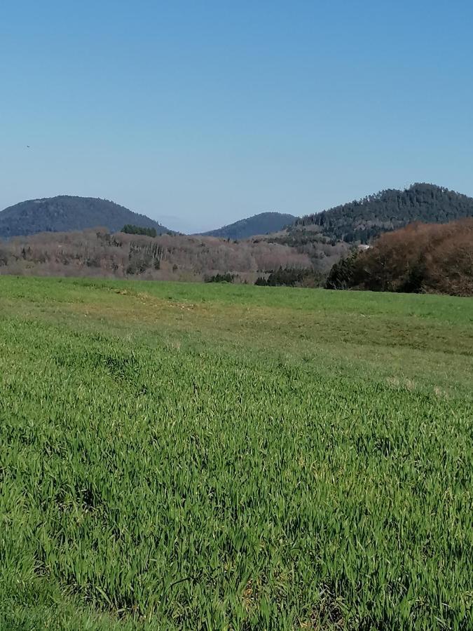 Air Paix Le Mont Villa Herpelmont Kültér fotó